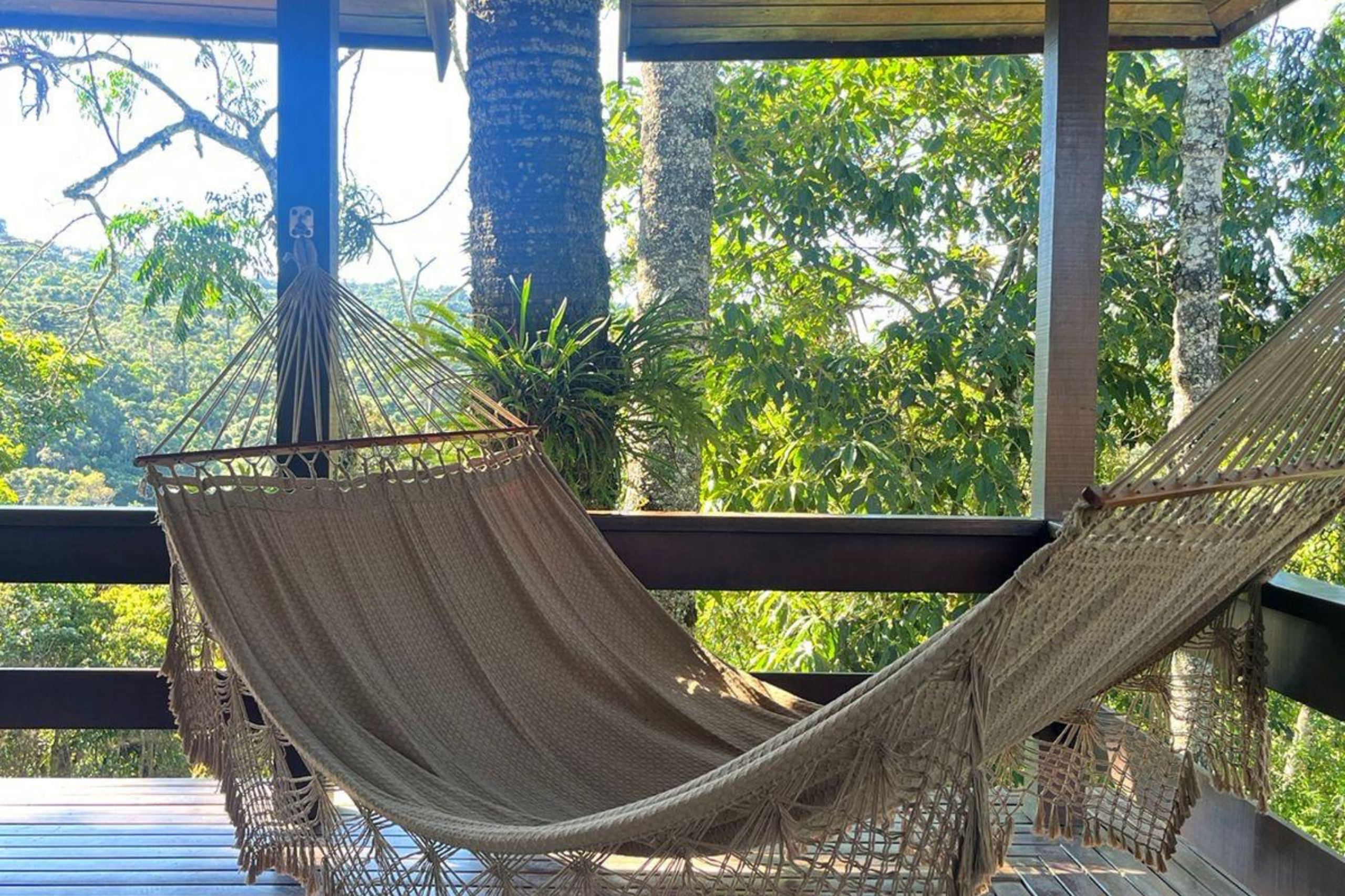 Design sem nome (29)