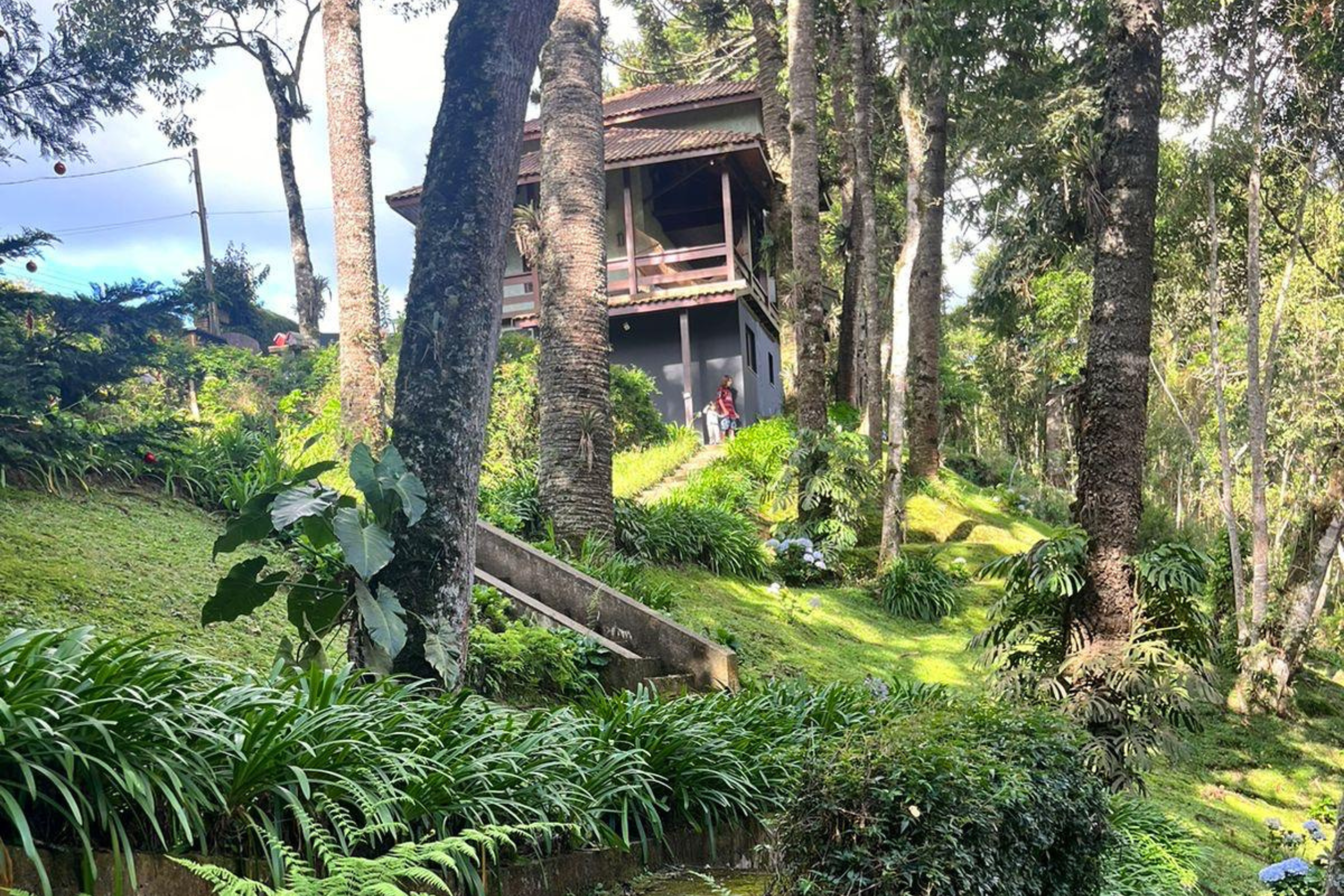 Design sem nome (30)